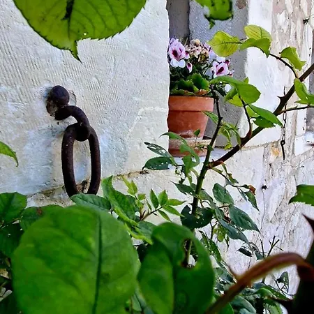 Bed & Breakfast Le Chardon